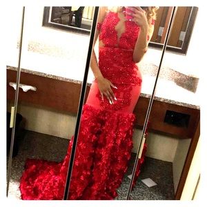 Ball Gown/ Prom Dress